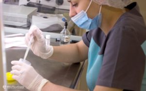 15-CPG-the-daily-work-of-laboratory