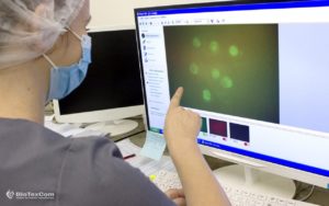 21-CPG-working-with-embryos